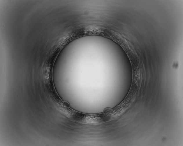 X0000100350708200806130952