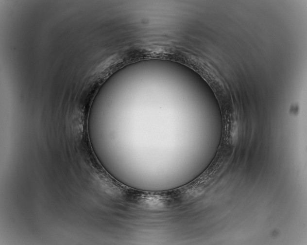 X0000100350710200806130952