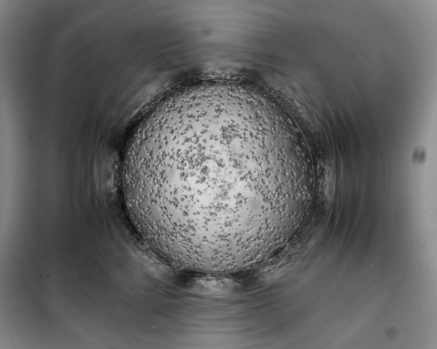 X0000100350712200806130952