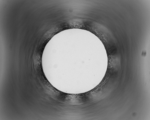 X0000100350713200806130952