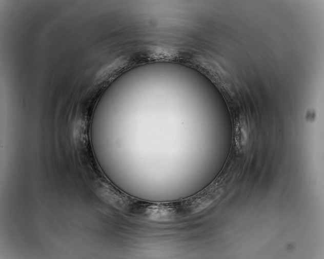 X0000100350714200806130952