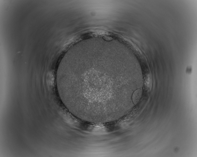 X0000100350715200806130952