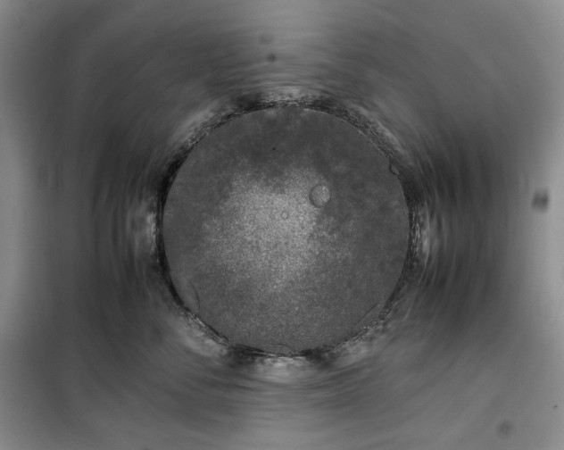 X0000100350716200806130952