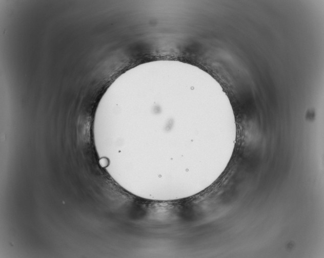 X0000100350717200806130952