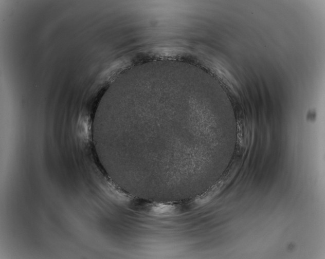 X0000100350718200806130952