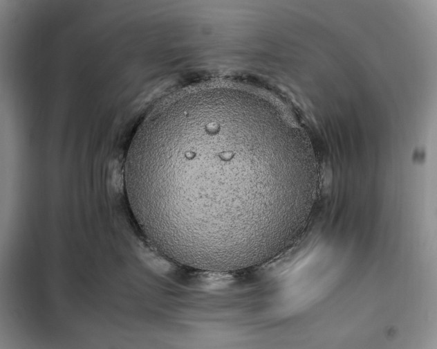 X0000100350719200806130952