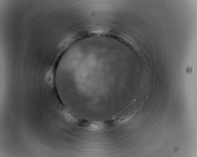 X0000100350720200806130952