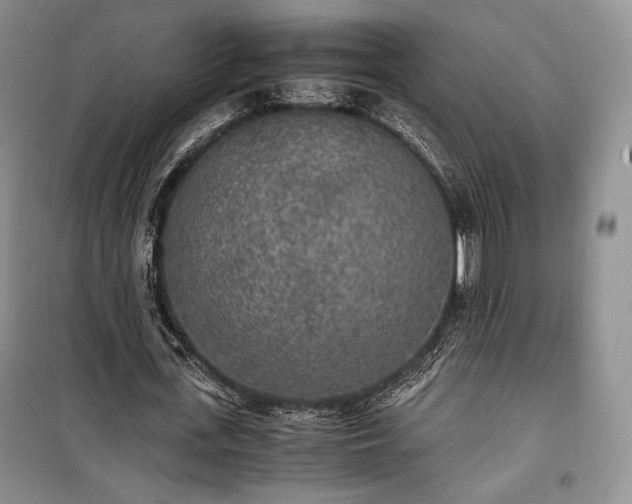 X0000100350723200806130951