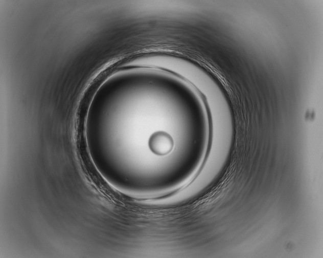X0000100350724200806130951