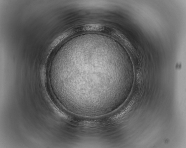 X0000100350725200806130951