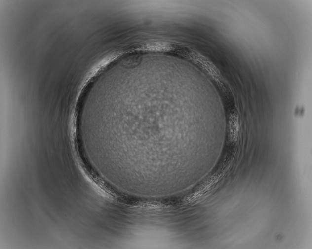 X0000100350726200806130951