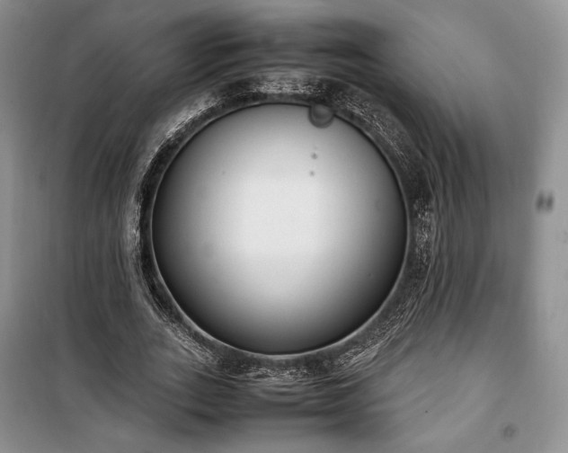 X0000100350727200806130951