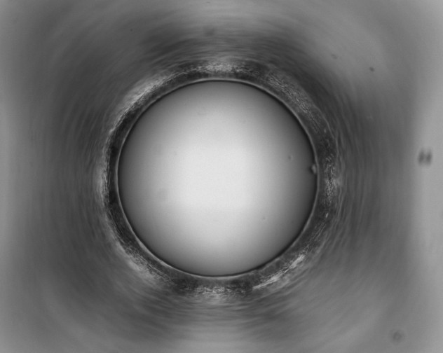 X0000100350728200806130952