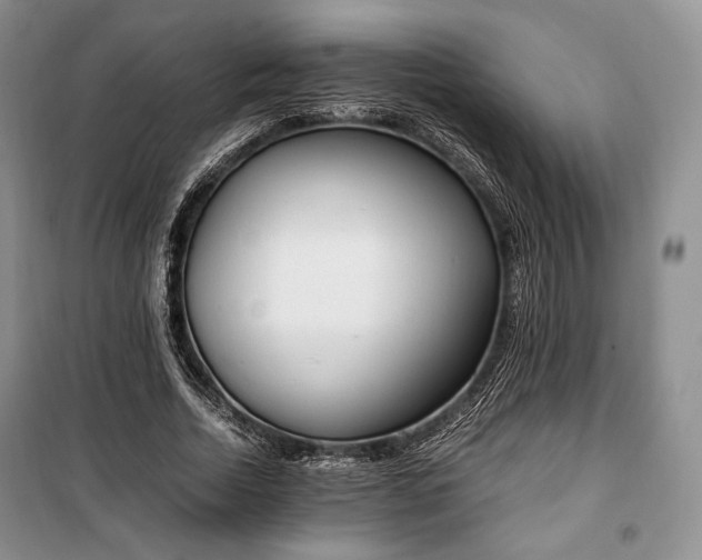 X0000100350730200806130952