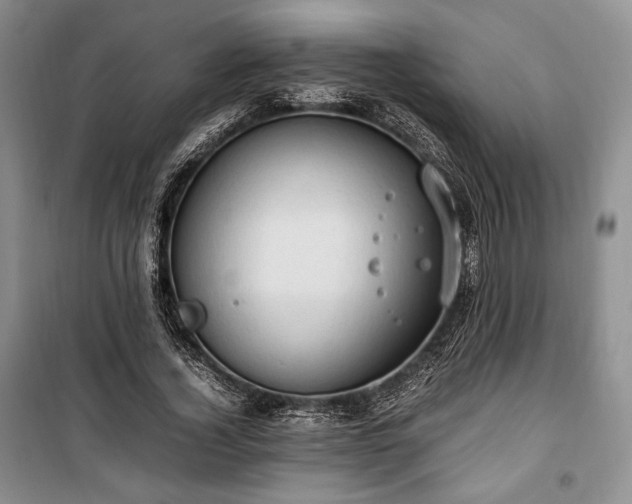 X0000100350732200806130952