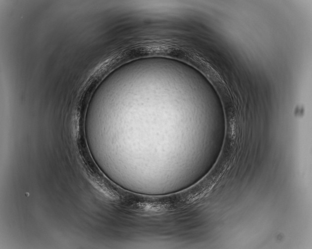 X0000100350733200806130952
