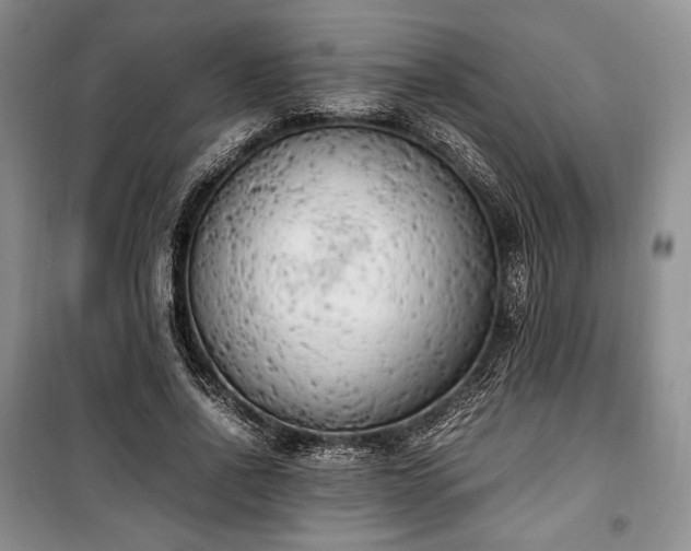 X0000100350734200806130952