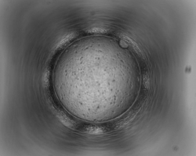 X0000100350735200806130952