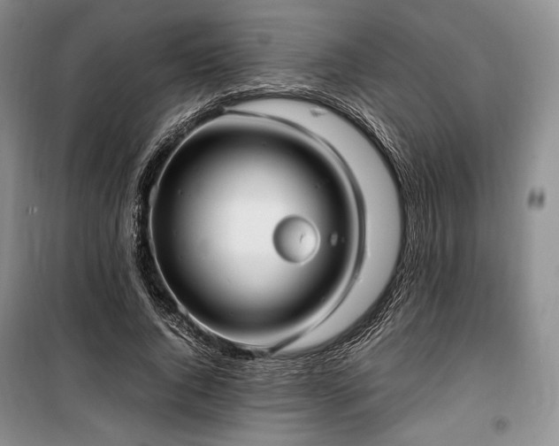 X0000100350736200806130952