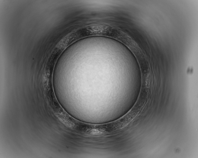 X0000100350737200806130952