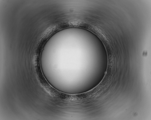 X0000100350738200806130952