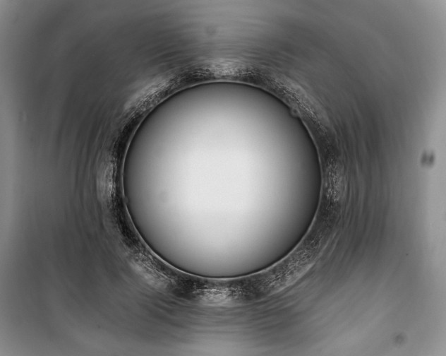 X0000100350740200806130952