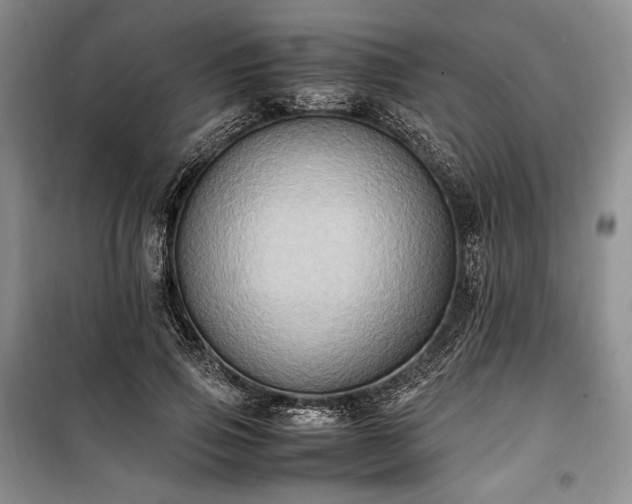 X0000100350741200806130952