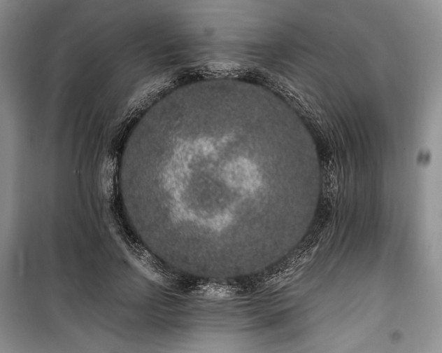 X0000100350742200806130952