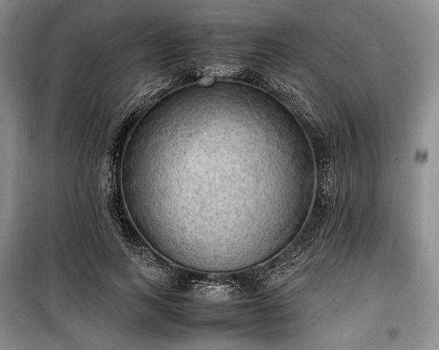 X0000100350743200806130952