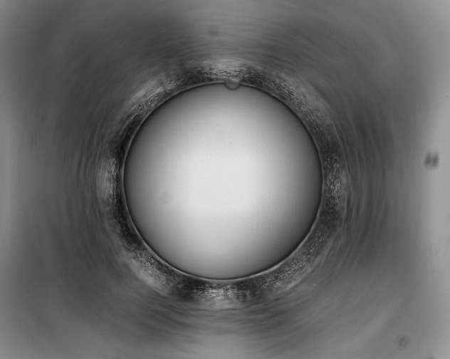 X0000100350744200806130952