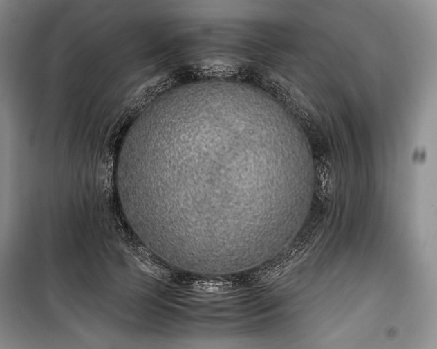 X0000100350745200806130952
