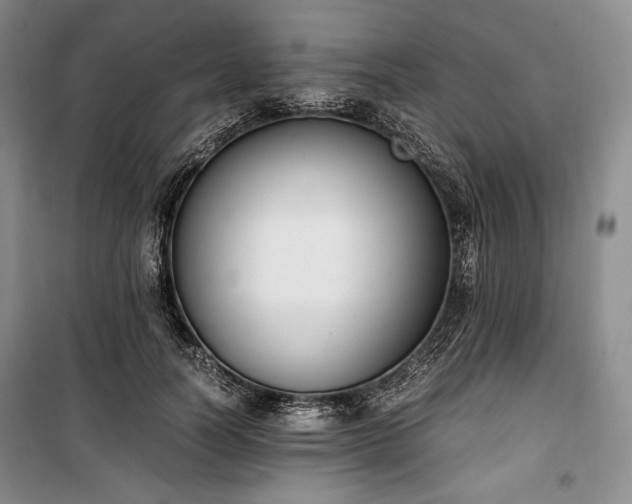 X0000100350746200806130952
