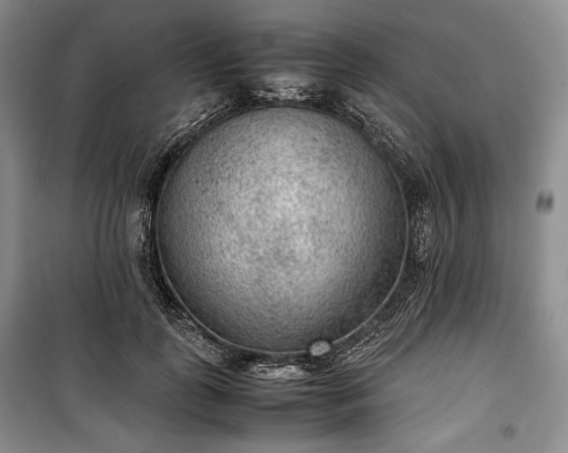 X0000100350747200806130952