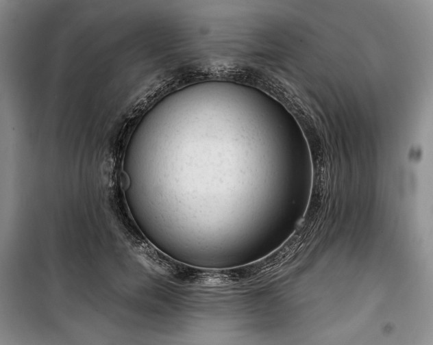 X0000100350750200806130952