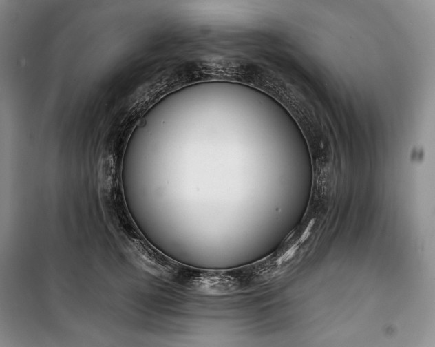 X0000100350752200806130952