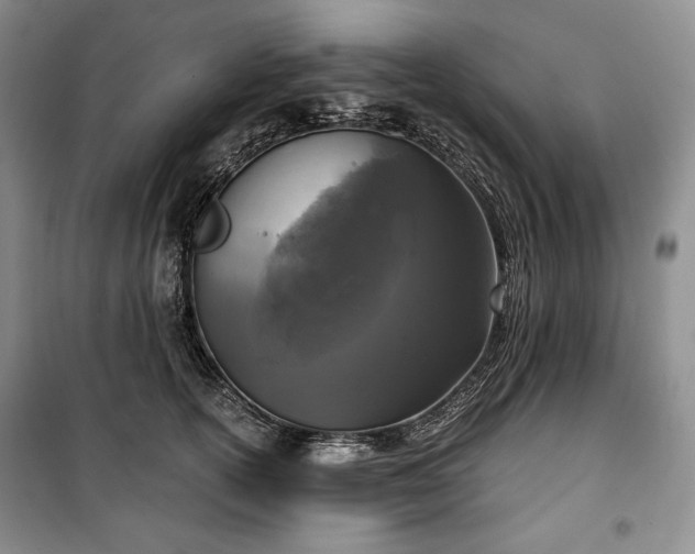 X0000100350754200806130952