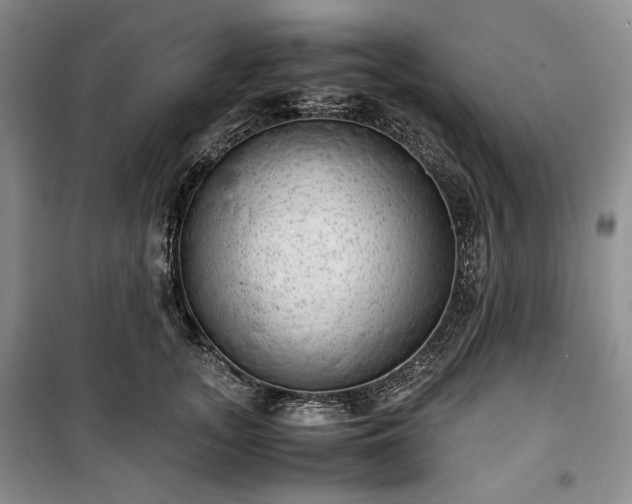 X0000100350755200806130952