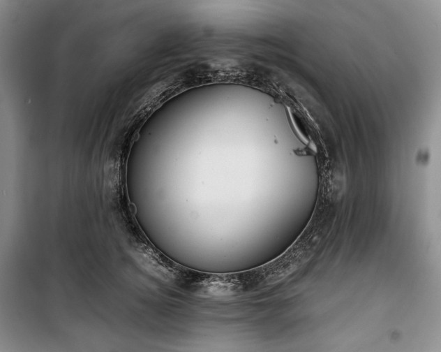X0000100350756200806130952