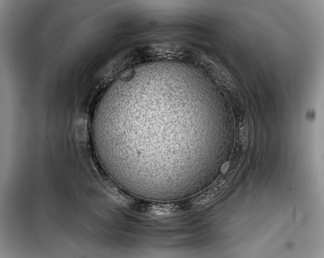 X0000100350757200806130952
