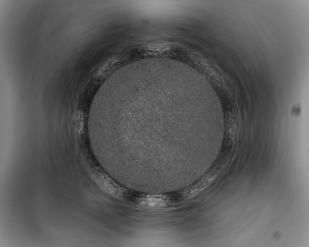 X0000100350758200806130952