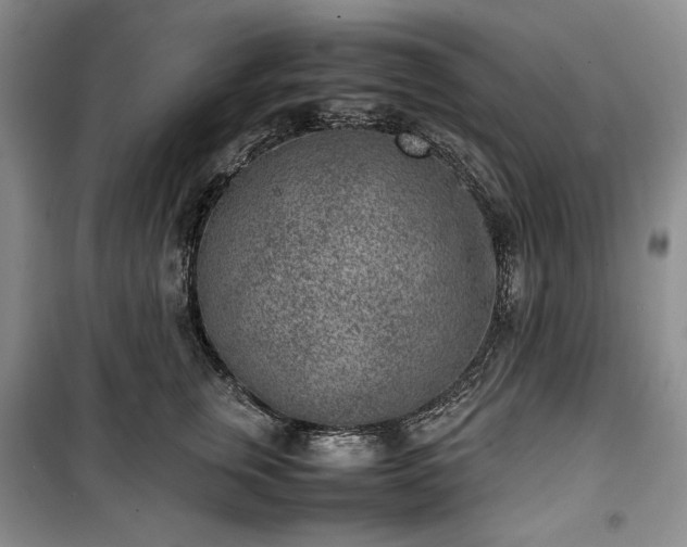 X0000100350759200806130952