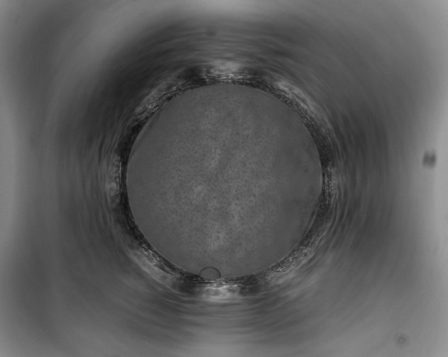 X0000100350760200806130952