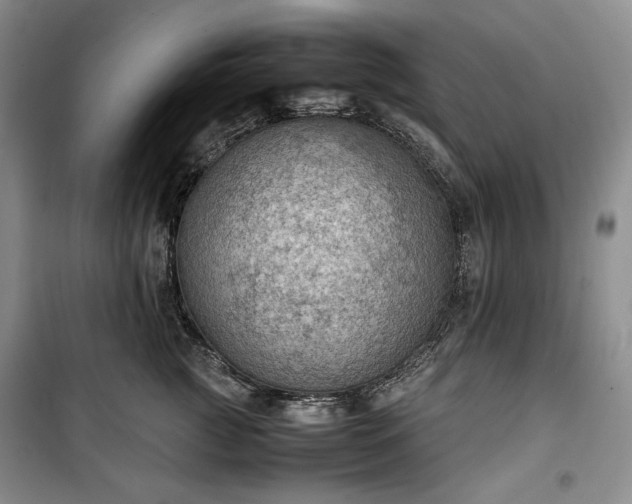 X0000100350761200806130952