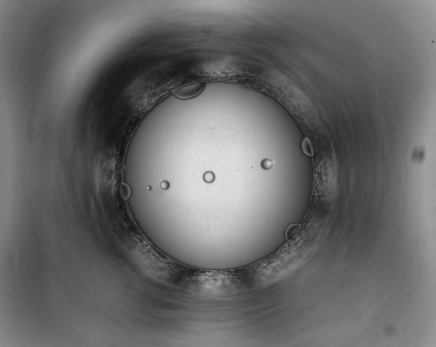 X0000100350762200806130952
