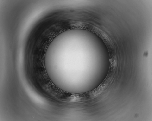 X0000100350764200806130952