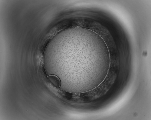 X0000100350766200806130952