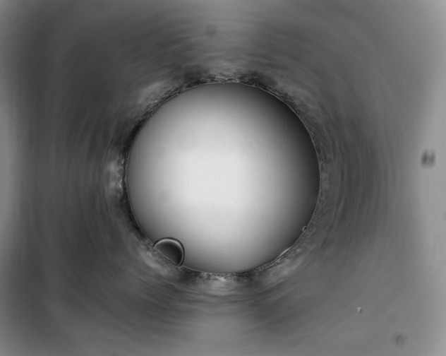 X0000100350768200806130952