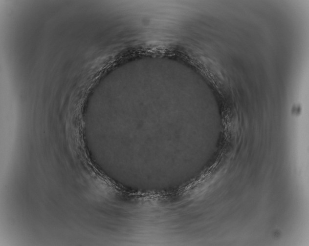 X0000100350769200806130951