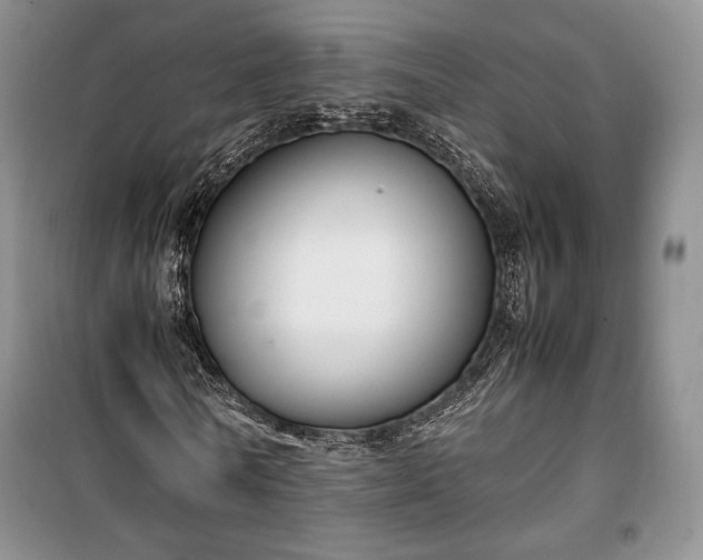 X0000100350770200806130951