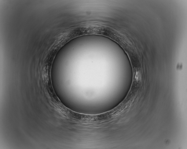 X0000100350771200806130951